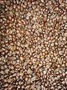 coffee-beans-fresh-coffee-tanzania-386096.jpg