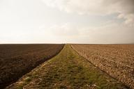 fields-arable-environment-nature-283214.jpg