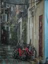 rain-bicycle-raining-wet-weather-562650.jpg