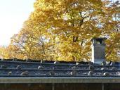 roof-wooden-roof-wood-stones-alm-62572.jpg