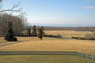 Farmland-with-hay-meadows-bales-and-tree.jpg