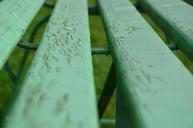 bench-green-autumn-macro-photo-626430.jpg