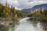 Middle_Fork_of_the_Flathead_From_the_Belton_Bridge_(2).jpg