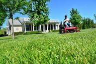 lawn-care-lawn-maintenance-643556.jpg