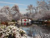 bridge-winter-landscape-snow-946240.jpg