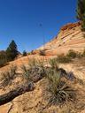 zion-national-park-utah-usa-rock-190012.jpg