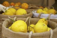 lemons-market-fruit-yellow-food-812071.jpg