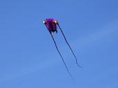 wind-dragon-dragon-kite-flying-1696107.jpg