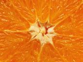 orange-citrus-fruit-fruit-570417.jpg