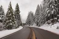 A living sno-globe scene and winter wonderland, created by a sudden mountain blizzard along California Highway 36, south of Lassen Volcanic National Park LCCN2013630906.tif.tiff