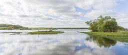 swamp-loire-atlantique-panorama-427829.jpg