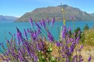 lake-wanaka-new-zealand-lake-nature-477789.jpg