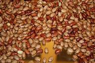 beans-brown-white-legumes-480650.jpg