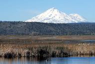 Marsh in the lower Klamath national wildlife refuge.jpg