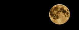 full-moon-moon-night-sky-dark-415501.jpg