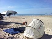 beach-tent-sun-sand-ocean-886467.jpg