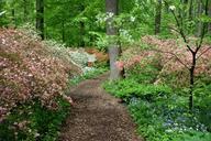 Springtime - Winterthur Museum - DSC01625.JPG