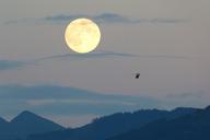 full-moon-moon-super-moon-huge-460316.jpg