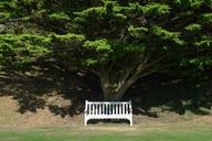 bench-seat-tree-chair-park-434280.jpg