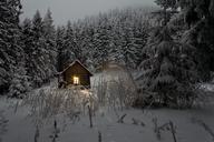 cabin-pine-trees-wilderness-nature-1082063.jpg