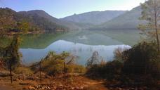 marsh-nature-del-tranco-reservoir-710192.jpg