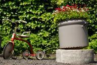 tricycle-pots-flowers-garden-698905.jpg