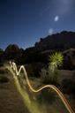 Light_trails_on_the_Skull_Rock_trail_at_Jumbo_Rocks_campground.jpg