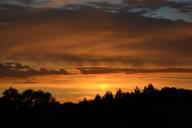 sunset-tree-sky-dawn-670264.jpg