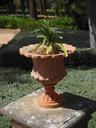 vase-flowerpot-decoration-old-1117516.jpg