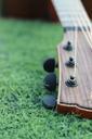 guitar-grassland-green-music-615717.jpg