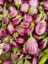 eggplant-farmers-market-vegetables-1335809.jpg