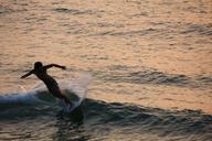 surfer-wave-beach-65364.jpg