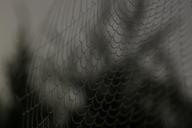 spider-web-cobweb-insect-nature-1030898.jpg