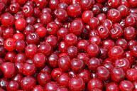 cherries-fruit-cherry-the-freshness-850338.jpg