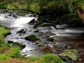 river-bank-water-south-bohemia-517542.jpg