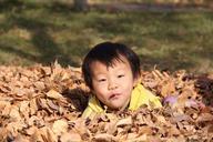 happy-kids-autumn-718495.jpg