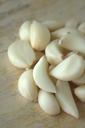 garlic-spices-food-healthy-389977.jpg