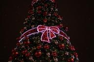 new-year-s-eve-christmas-tree-1092125.jpg