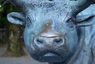 cow-bronze-statue-zodiac-signs-547196.jpg