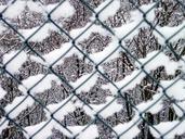 fence-snow-winter-white-cold-491593.jpg