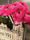 basket-pink-flowers-spring-476941.jpg