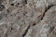 Rock_Texture_6.jpg