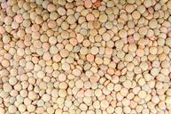 agriculture-backdrop-bean-brown-316595.jpg