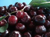 cherries-fruit-cherry-red-food-945968.jpg