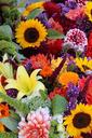 flowers-farmers-market-market-stall-1323632.jpg