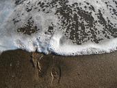 footprints-surf-wave-56241.jpg