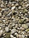 pebble-stones-pebbles-background-978869.jpg