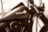 harley-harley-davidson-motorcycle-716355.jpg