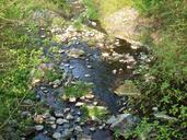 bach-water-riverbed-nature-flow-1134144.jpg