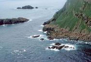 Sea lion haulout at Sugarloaf island.jpg